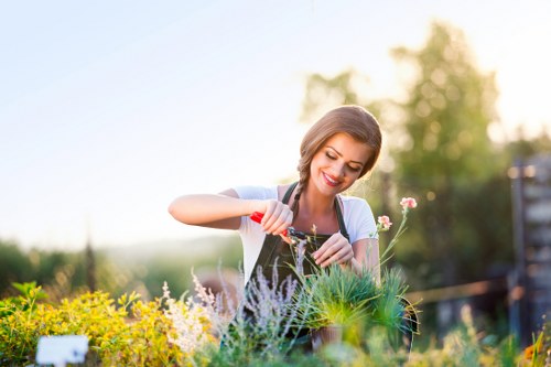 Tree surgeons working carefully on a mature tree in Ilford