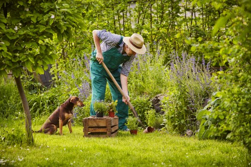 Tree surgery complaints process starting point with customer concern review