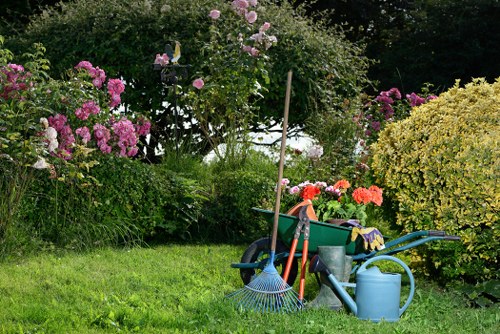 Specialist stump grinder removing a tree stump in Ilford
