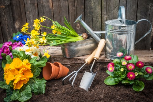 Commercial hedge maintenance for a business property in Ilford