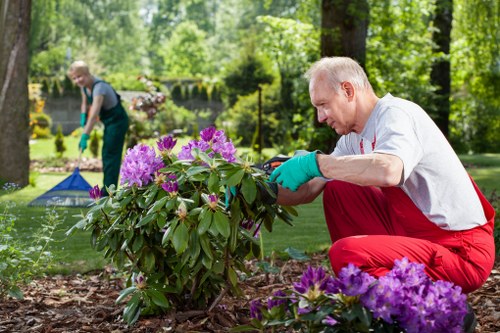Professional arborist pruning branches in an urban garden