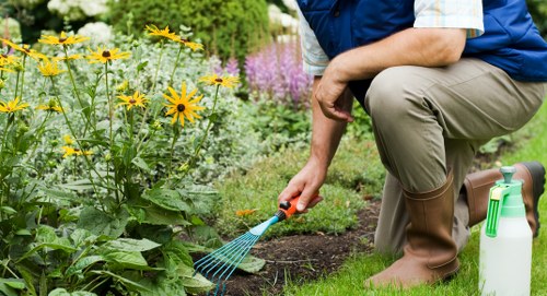Detailed review of tree surgery complaint records and site notes