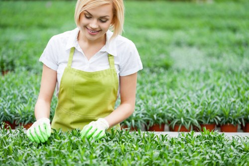 Local transfer station handling arboricultural waste